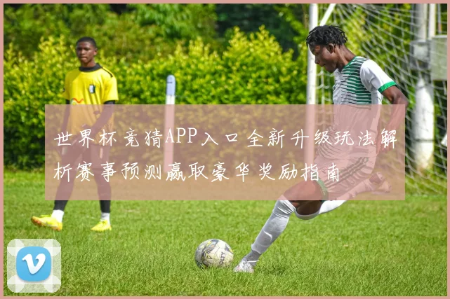 世界杯竞猜APP入口全新升级玩法解析赛事预测赢取豪华奖励指南