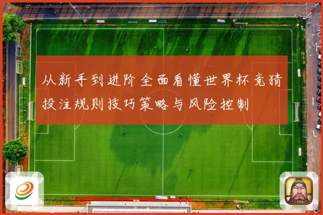 从新手到进阶全面看懂世界杯竞猜投注规则技巧策略与风险控制